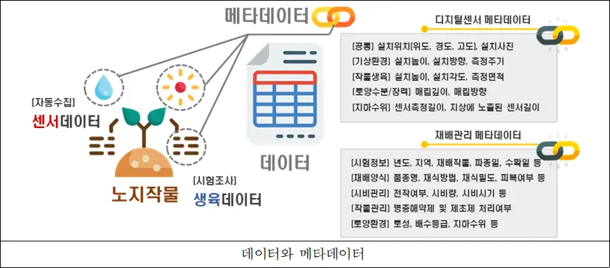 데이터와 메타데이터 데이터와 메타데이터